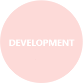 Website and App Developer