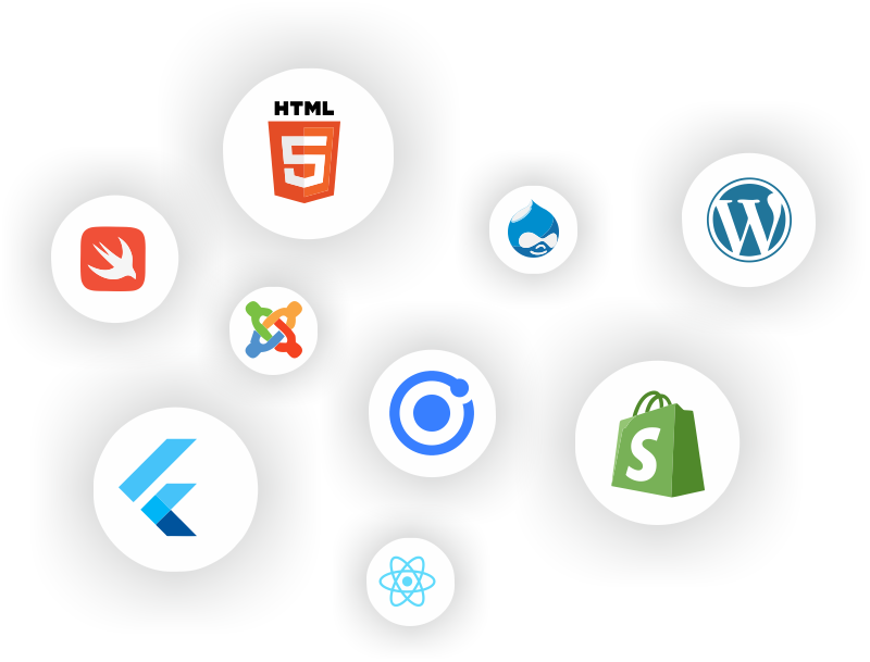 Website and App Developer